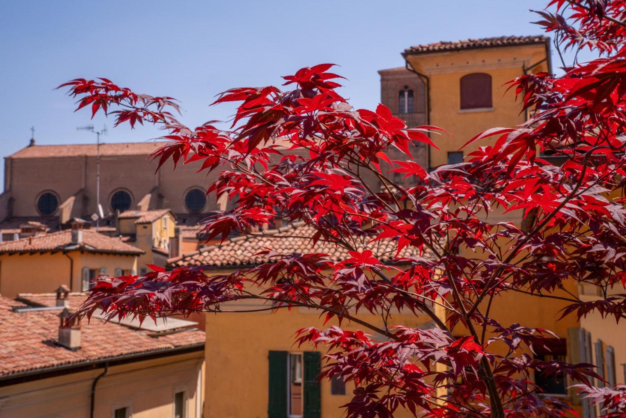 Piazza Maggiore Santa Margherita B&B Bolonia Pokój zdjęcie